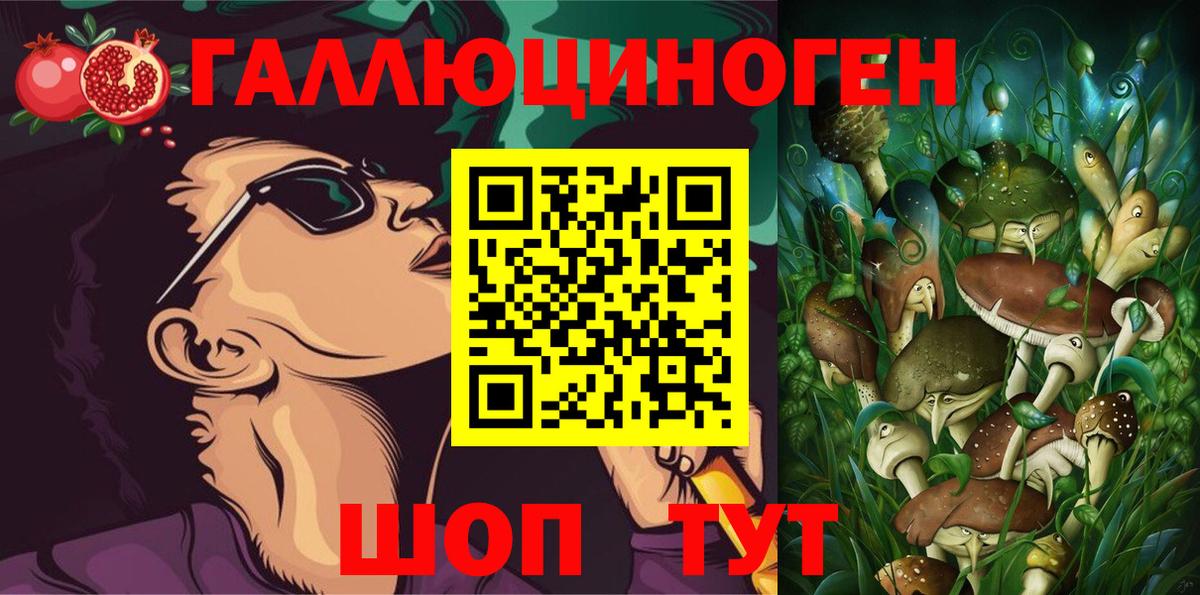 Котельники  дарнет шоп  Вход с VPN  Псилоцибиновые грибы Cubensis 