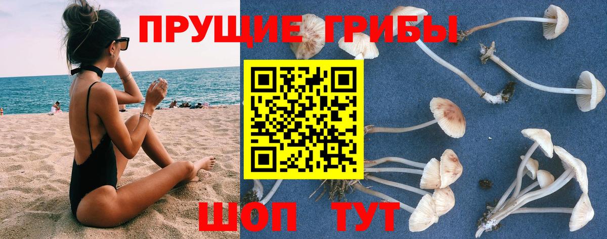 Псилоцибиновые грибы мухоморы Котельники